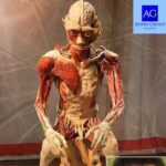 Exploring the Cuisine of Marrakech